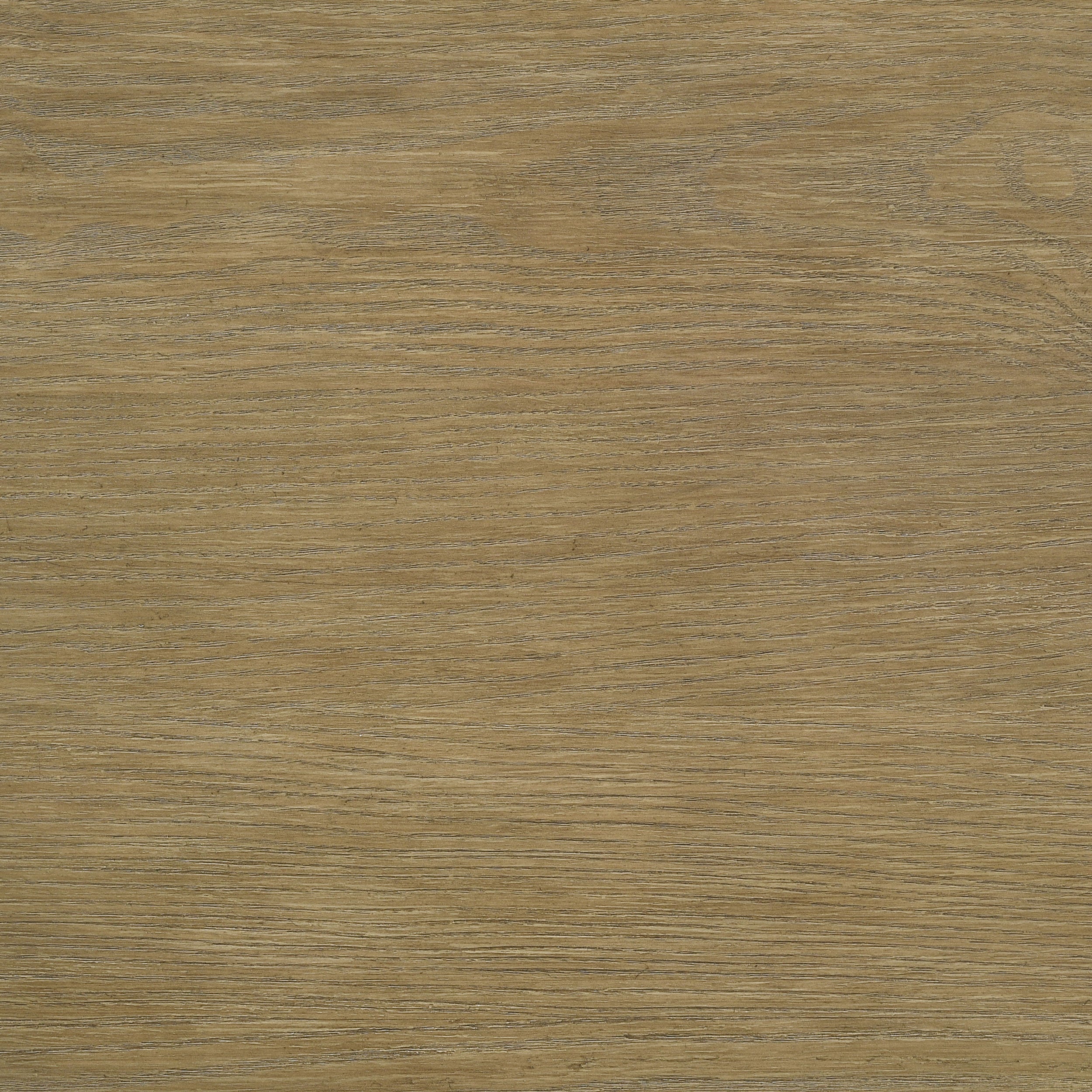 Arini 56-inch  Panel Bed