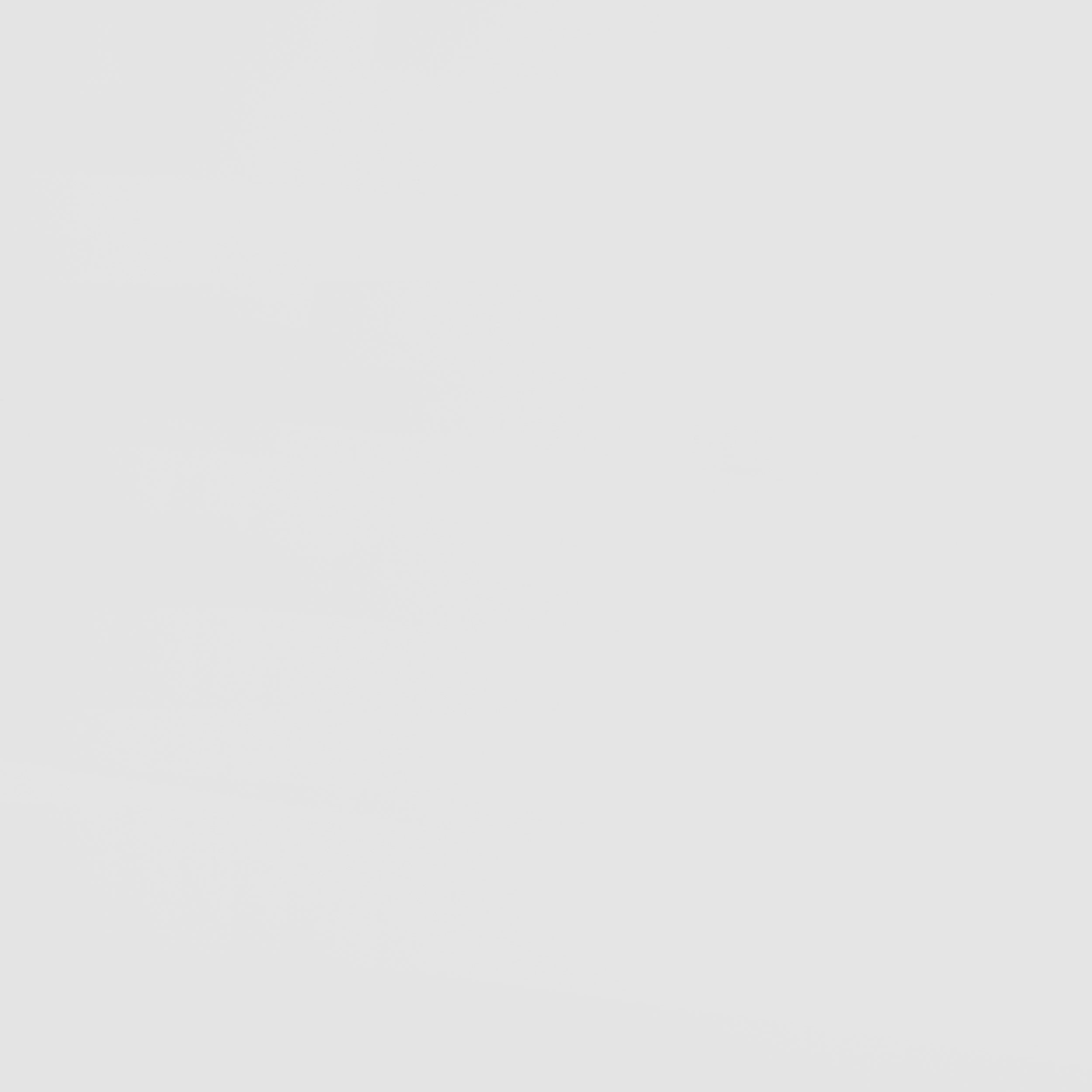 Wyatt Wood  Over  Bunk Bed White and Natural