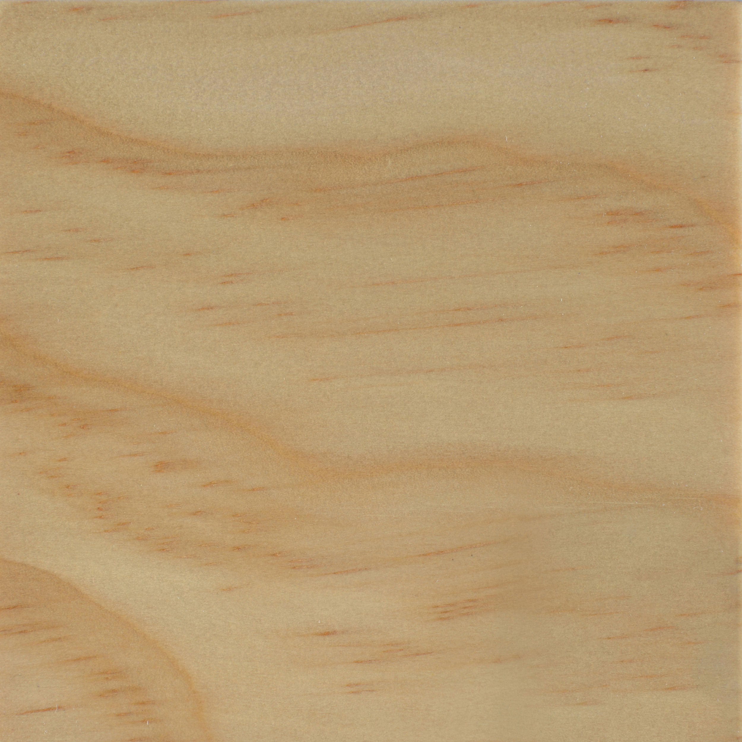 Carrie 3-Panel Room Divider Folding Shoji Screen Black