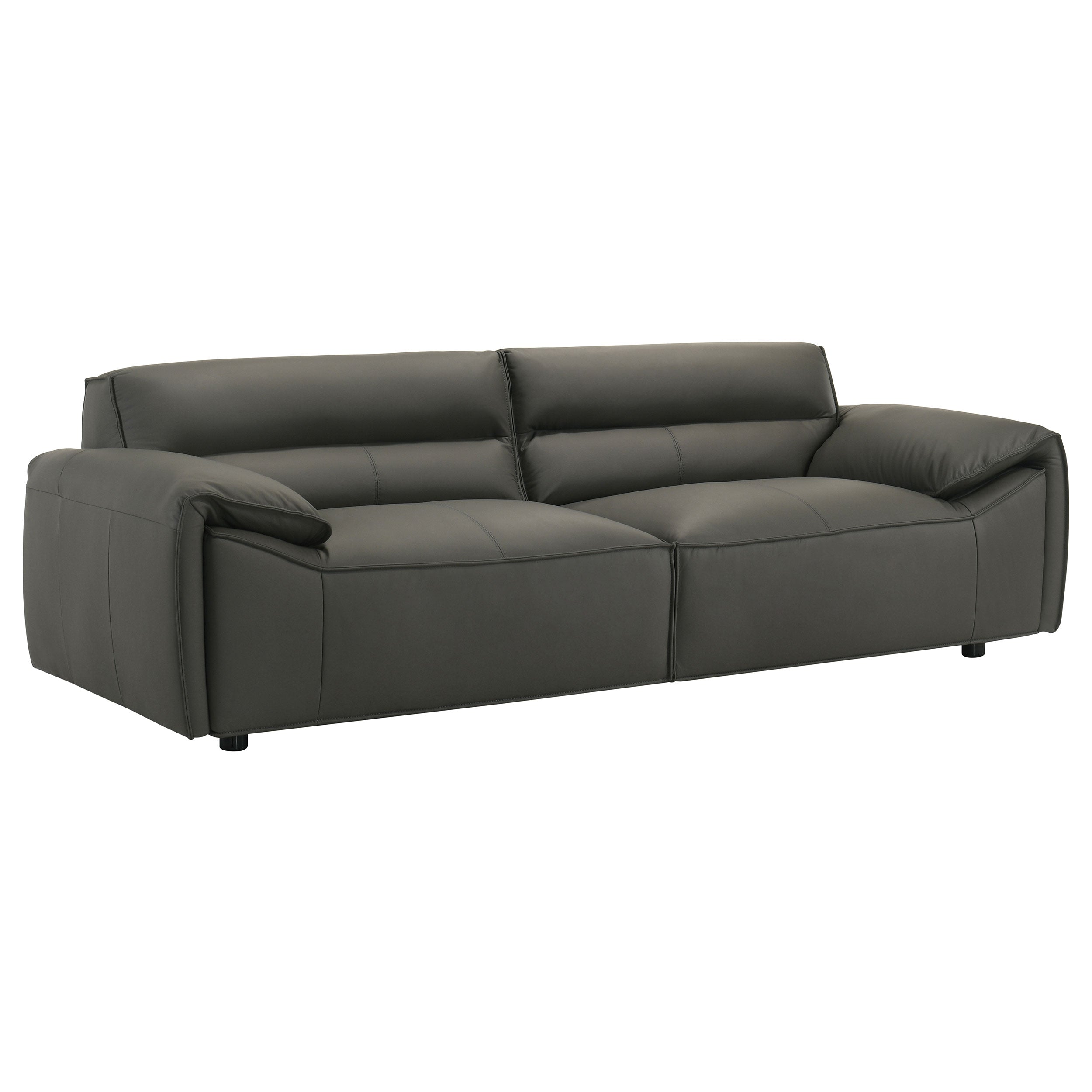 Buxton 2-piece Leather Upholstered Sofa Set Graphite