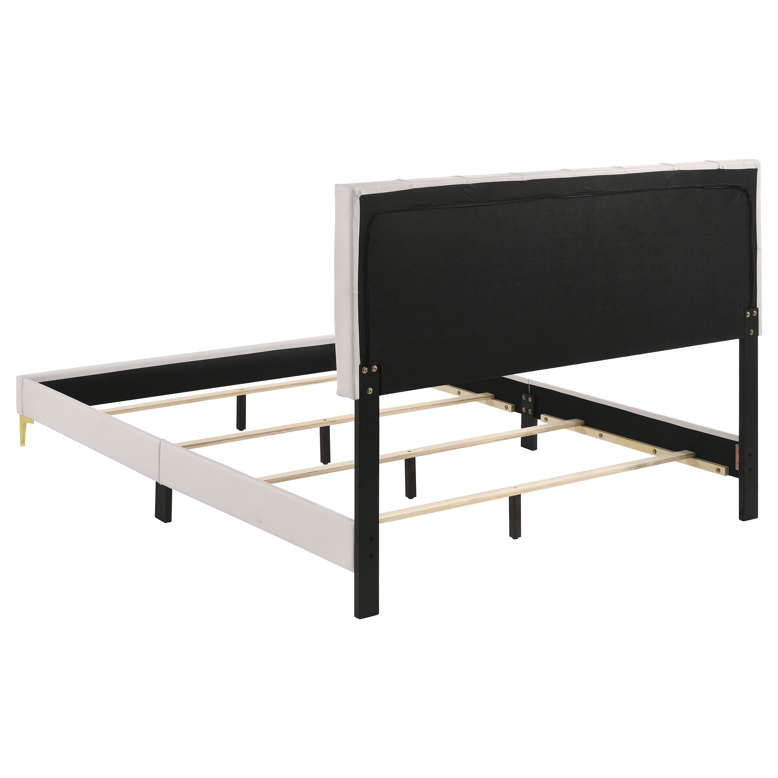 Kendall Upholstered Panel Bed Black
