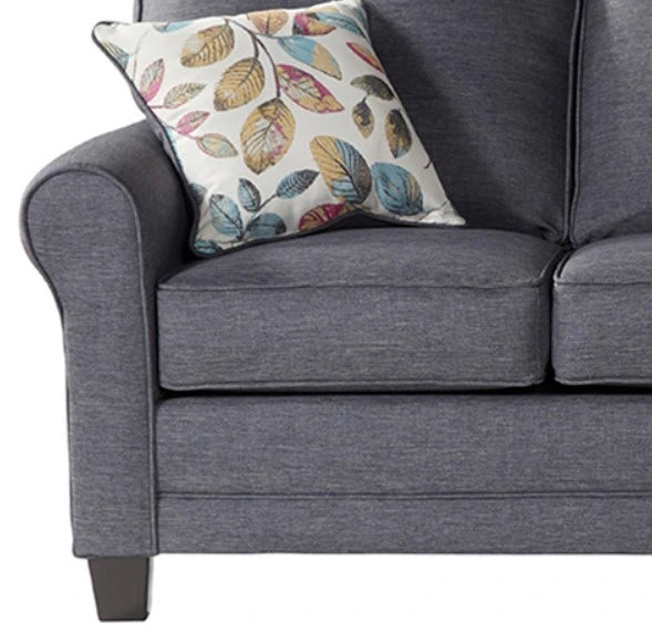 Jitterbug Grey Queen Sleeper Sofa and Loveseat Set